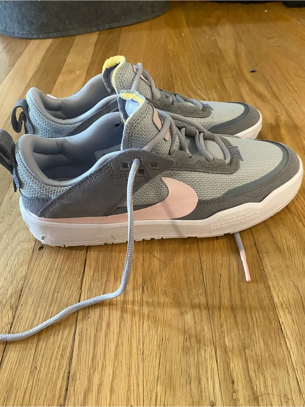 NEW Nike Day One SB GS 'Cool Grey Pink Foam' Youth Shoes